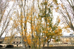 ©-Nosrat-Panahi-Nejad-Parigi-autunno-208-2