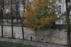 © Nosrat Panahi Nejad "Parigi"